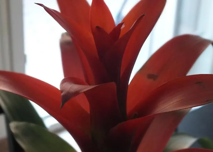 Romantic Bed & Breakfast 5*